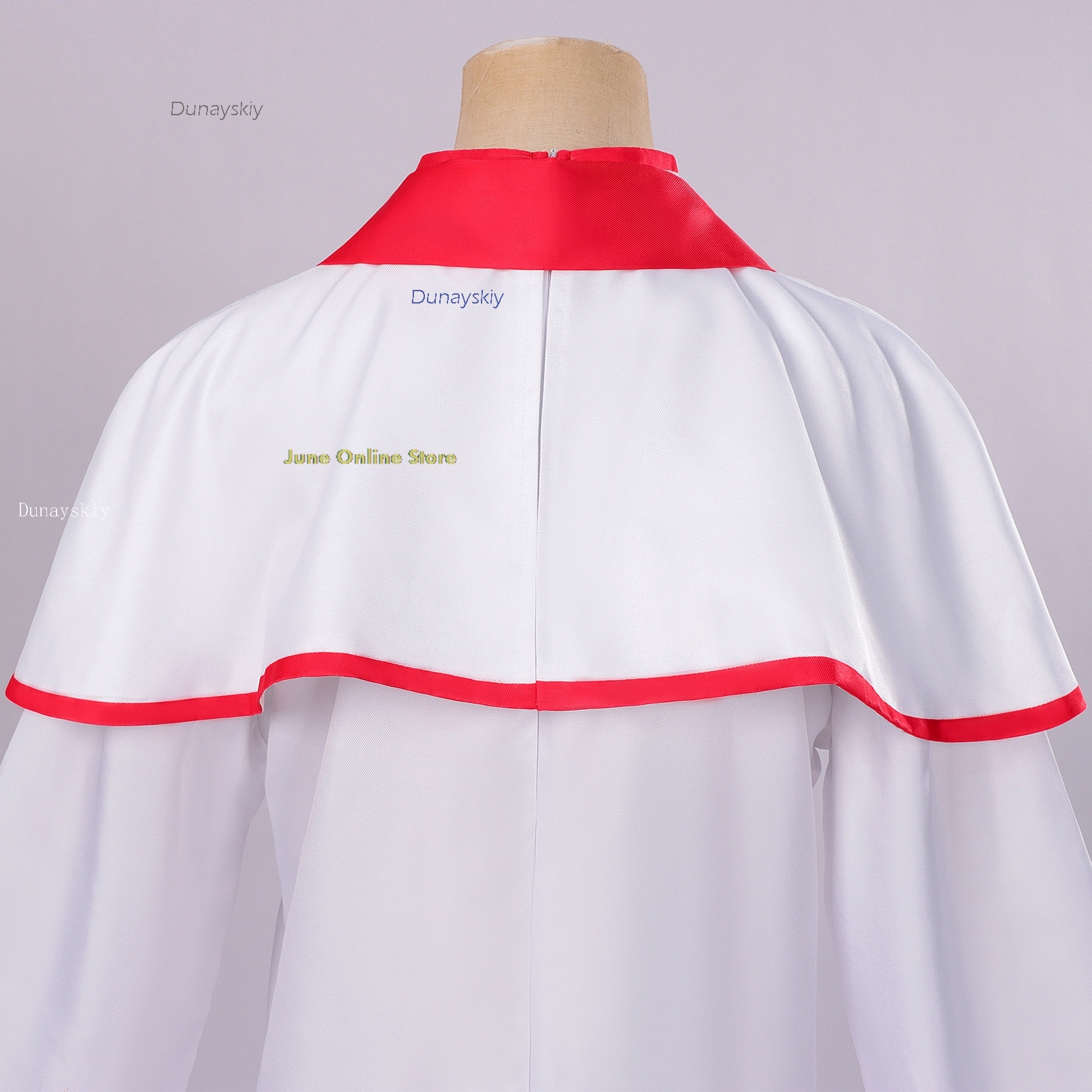 Kasanee Teto Mikv Cosplay Cost - Anime And Cosplay Expo 2025 评论和价格